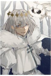 Rule 34 | 1boy, bare tree, blanca (fate), border, bug, cape, diamond hairband, dress shirt, eyelashes, fate/grand order, fate (series), fur-trimmed cape, fur trim, grey eyes, grey hair, hair between eyes, highres, insect, juliet sleeves, long sleeves, looking at viewer, male focus, moth, open mouth, puffy sleeves, shirt, snowing, teeth, tree, umeboitarou, upper body, upper teeth only, white border, white cape, winter