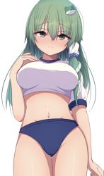 Rule 34 | 1girl, alternate costume, arm at side, blush, breasts, buruma, darumoon, frog hair ornament, green eyes, green hair, hair ornament, hand on own chest, highres, kochiya sanae, large breasts, long hair, looking at viewer, navel, shiny skin, shirt, short sleeves, sidelocks, simple background, smile, snake hair ornament, solo, standing, stomach, thighs, touhou, v-shaped eyebrows, white background, white shirt