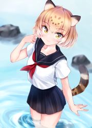 Rule 34 | 1girl, absurdres, alternate costume, animal ears, black sailor collar, black skirt, blonde hair, blouse, blurry, blurry background, closed mouth, commentary, cowboy shot, day, depth of field, finger to face, highres, jaguar (kemono friends), jaguar ears, jaguar print, jaguar tail, kemono friends, kinou no shika, looking at viewer, miniskirt, multicolored hair, outdoors, pleated skirt, rock, sailor collar, school uniform, serafuku, shirt, short hair, short sleeves, skirt, smile, solo, standing, tail, wading, water, white shirt, yellow eyes