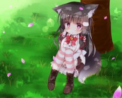 Rule 34 | 1girl, against tree, animal ears, black hair, blush, boots, bow, breasts, brown eyes, brown hair, dog ears, dress, flower, from above, grass, hair ornament, highres, hugging own legs, knees to chest, large breasts, long hair, looking up, miktama, original, outdoors, petals, purple eyes, sidelocks, sitting, solo, striped clothes, striped thighhighs, tail, thighhighs, tree