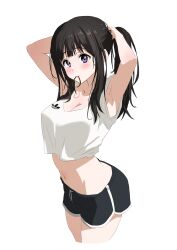 Rule 34 | absurdres, adidas, awesome crane, black hair, breasts, chitanda eru, hair tie in mouth, highres, hyouka, large breasts, long hair, midriff, mouth hold, navel, ponytail, purple eyes, short shorts, shorts