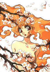 Rule 34 | 1girl, branch, breasts, cherry blossoms, collarbone, convenient censoring, floating hair, highres, ishida atsuko, lipstick, makeup, medium breasts, nude, orange eyes, orange hair, petals, red eyes, simple background, solo, white background