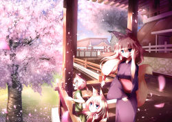 Rule 34 | 1boy, 2girls, animal ears, architecture, bad id, bad pixiv id, cherry blossoms, east asian architecture, fox ears, fox tail, highres, japanese clothes, jebura, kimono, multiple girls, nature, original, petals, scenery, spring (season), tail, tree