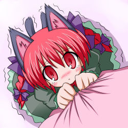 Rule 34 | 1girl, animal ears, blush, bow, braid, cape, cat ears, cat girl, cat tail, commentary, female focus, hair bow, highres, kaenbyou rin, komakoma (magicaltale), looking up, multiple hair bows, pov, red eyes, red hair, solo focus, tail, tears, touhou, trembling, twin braids