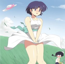 Rule 34 | 1boy, 1girl, bare arms, bare legs, black hair, black pants, blue eyes, blue sky, blush, bow, braid, breasts, clothes lift, cloud, couple, covering privates, covering crotch, dress, dress lift, flower, grass, hat, hat bow, hill, kj (k777), outdoors, pants, ranma 1/2, saotome ranma, shirt, short hair, single braid, sky, surprised, tendou akane, white dress, white shirt, wide-eyed, wind, wind lift