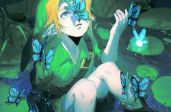 Rule 34 | 1boy, blonde hair, blue butterfly, blue eyes, bug, butterfly, butterfly on hand, butterfly on nose, dele14375735, eyelashes, fairy, feet out of frame, flock, from above, hand up, hat, highres, insect, knees up, lily pad, link, looking away, looking up, male focus, nature, navi, nintendo, one eye covered, parted lips, partially submerged, pointy ears, pond, short sleeves, sitting, solo focus, the legend of zelda, the legend of zelda: ocarina of time, water