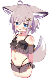 Rule 34 | 1girl, :d, absurdres, ahoge, animal ear fluff, animal ears, arknights, arms behind back, bare shoulders, bikini, black bikini, blue eyes, blush, breasts, cropped legs, eyebrows hidden by hair, fox ears, fox girl, fox tail, grey hair, hair between eyes, hair ornament, hairclip, highleg, highleg bikini, highres, looking at viewer, low twintails, navel, open mouth, rebaa, saliva, see-through, short twintails, simple background, small breasts, smile, solo, sussurro (arknights), swimsuit, tail, twintails, white background, x hair ornament