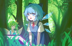 Rule 34 | 2girls, blue dress, blue eyes, blue hair, cirno, daiyousei, dress, fairy wings, forest, grass, green hair, highres, ice, ice wings, multiple girls, nature, outdoors, takki (takkiko), touhou, touhou hero of ice fairy, wings