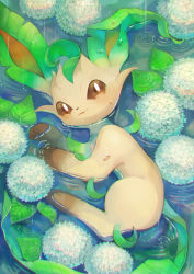 Rule 34 | brown eyes, brown sclera, closed mouth, colored sclera, commentary request, creatures (company), flower, game freak, gen 4 pokemon, highres, hydrangea, kikuyoshi (tracco), leaf, leafeon, looking at viewer, looking up, lying, nintendo, no humans, on side, partially submerged, pokemon, pokemon (creature), rain, solo, water