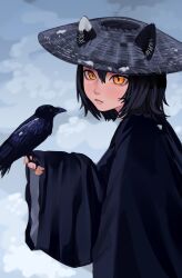Rule 34 | 1girl, absurdres, ajirogasa, alternate costume, animal ears, bird, bird on hand, black hair, black robe, blue background, cat ears, commentary, crow, dungeon meshi, ears through headwear, english commentary, from side, hand up, hat, highres, izutsumi, japanese clothes, long sleeves, looking at viewer, looking to the side, orange eyes, robe, slit pupils, solo, sverhnova, wide sleeves