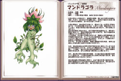 Rule 34 | 1girl, blush, character profile, flower, kenkou cross, looking at viewer, mandragora (monster girl encyclopedia), monster girl, monster girl encyclopedia, official art, plant girl, purple eyes, translation request