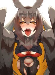 Rule 34 | animal ears, bird ears, black pantyhose, blush, bra, breasts, brown feathers, brown hair, brown wings, clothes lift, colored inner hair, commentary request, fangs, feathered wings, feathers, gaikiken, hair between eyes, highres, large breasts, long hair, looking at viewer, lowleg, lowleg panties, multicolored hair, navel, neck fur, open mouth, orange hair, original, panties, pantyhose, pov, red bra, red panties, saliva, shirt lift, simple background, textless version, tongue, torn clothes, torn pantyhose, underwear, very long hair, white background, winged arms, wings, yellow eyes