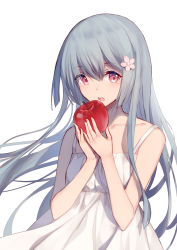 Rule 34 | 1girl, :o, apple, bare arms, bare shoulders, bison cangshu, black background, collarbone, dress, floating hair, flower, food, fruit, grey hair, hair between eyes, hair flower, hair ornament, hands up, highres, holding, holding food, holding fruit, lens flare, light particles, long hair, looking at viewer, open mouth, original, pink flower, red apple, red eyes, sidelocks, simple background, sleeveless, sleeveless dress, solo, teeth, upper body, very long hair, white background, white dress