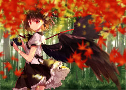 Rule 34 | 1girl, autumn leaves, bamboo, bamboo forest, black bow, black hair, black ribbon, black skirt, black wings, bow, breasts, camera, commentary request, cowboy shot, feathered wings, forest, hat, holding, holding camera, kisaragi yuri, light particles, looking at viewer, medium breasts, nature, neck ribbon, petticoat, puffy short sleeves, puffy sleeves, red eyes, ribbon, shameimaru aya, shirt, short hair, short sleeves, skirt, solo, standing, tokin hat, touhou, white shirt, wings