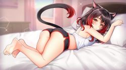 Rule 34 | 1girl, animal ears, ass, warrior of light (ff14), bare arms, bare legs, bare shoulders, barefoot, bed, bedroom, black hair, black shorts, blurry, breasts, camisole, cat ears, cat girl, cat tail, closed mouth, commission, crop top, crop top overhang, depth of field, dolphin shorts, facial mark, final fantasy, final fantasy xiv, from side, jirafuru, looking at viewer, looking to the side, lying, medium breasts, medium hair, micro shorts, midriff, miqo&#039;te, multicolored hair, navel, on bed, on stomach, pillow, red hair, shirt, short shorts, shorts, sleeveless, sleeveless shirt, solo, spaghetti strap, stomach, streaked hair, tail, tail raised, thighs, two-tone hair, white shirt, yellow eyes