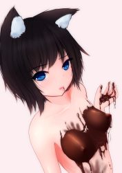 Rule 34 | 1girl, animal ears, black hair, blue eyes, blush, cat ears, chocolate, chocolate on body, chocolate on breasts, eyebrows, food in mouth, food on body, from above, kuronekomercy, looking at viewer, naked chocolate, nude, open mouth, original, pink background, pink lips, short hair, simple background, solo, upper body