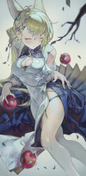 Rule 34 | 1girl, alternate costume, animal ears, apple, arknights, blonde hair, blush, braid, breasts, china dress, chinese clothes, cleavage, cleavage cutout, clothing cutout, coin hair ornament, commentary, crown braid, dress, english commentary, feet out of frame, food, fruit, grey background, hair ornament, hand on own hip, highres, kroos (arknights), kroos the keen glint (along the corridor) (arknights), kroos the keen glint (arknights), large breasts, official alternate costume, rabbit ears, rabbit girl, shounibyou (shonibyodayo), side slit, simple background, solo, white dress