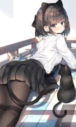 Rule 34 | 1girl, absurdres, animal ears, black eyes, black pantyhose, black skirt, blush, braid, cat, cat ears, cat tail, commentary request, fake animal ears, fake tail, from behind, highres, long sleeves, looking at viewer, medium hair, original, pantyhose, pleated skirt, ranf, shirt, skirt, smile, solo, tail, white shirt