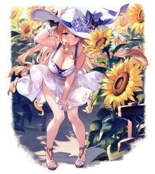 Rule 34 | 1girl, bare arms, bare shoulders, blonde hair, blue eyes, breasts, cleavage, clothes lift, commentary request, dress, dress lift, fence, flower, full body, granblue fantasy, hand on headwear, hat, hat flower, hat ribbon, highres, horns, horns through headwear, large breasts, leaning forward, long hair, looking at viewer, pointy ears, razia, ribbon, ringlets, sandals, sidelocks, skirt hold, sleeveless, sleeveless dress, solo, standing, sun hat, sundress, sunflower, u jie, very long hair, white dress, white hat, wind, wind lift, wooden fence