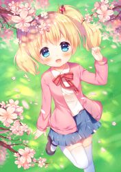 Rule 34 | 10s, 1girl, alice cartelet, blonde hair, blue eyes, blush, cardigan, cherry blossoms, from above, highres, kin-iro mosaic, long hair, looking up, mary janes, natsume asato, open mouth, petals, school uniform, shirt, shoes, skirt, smile, solo, standing, standing on one leg, thighhighs, tree, twintails, white thighhighs