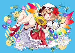 Rule 34 | 1girl, :d, blonde hair, bloomers, blue background, blue flower, bobby socks, bridal garter, commentary request, dress, fangs, flandre scarlet, flower, full body, hat, hat flower, hibiscus, highres, knees up, leaf, long hair, looking at viewer, mary janes, mob cap, one side up, open mouth, petticoat, puffy short sleeves, puffy sleeves, purple flower, red dress, red eyes, red flower, red footwear, shirt, shoes, short sleeves, simple background, smile, socks, solo, sunflower, thighs, touhou, toutenkou, underwear, white bloomers, white flower, white hat, white shirt, white socks, wrist cuffs