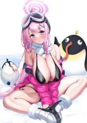 Rule 34 | 1girl, animal, bikini, bird, black bikini, blue archive, blush, boots, breasts, cleavage, eimi (blue archive), eimi (swimsuit) (blue archive), full body, goggles, goggles on head, halo, highres, huge breasts, jacket, ken ill, long hair, looking at viewer, official alternate costume, open clothes, open jacket, parted lips, penguin, peroro (blue archive), pink eyes, pink hair, pink halo, pink jacket, ponytail, scarf, solo, swimsuit, very long hair, white footwear, white scarf