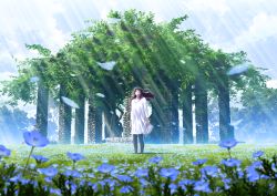 Rule 34 | 1girl, black hair, black pantyhose, blue flower, blue sky, closed mouth, cloud, cloudy sky, commentary request, day, dress, field, floating hair, flower, flower field, jewelry, long hair, long sleeves, looking away, looking up, mocha (cotton), necklace, nemophila (flower), original, outdoors, pantyhose, pearl necklace, petals, sky, solo, standing, sunlight, tree, white dress, wide shot