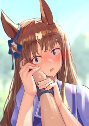 Rule 34 | 1girl, 1other, animal ears, blue eyes, blurry, blurry background, blush, brown hair, commentary request, ear ornament, embarrassed, grass wonder (umamusume), hand on another&#039;s cheek, hand on another&#039;s face, highres, holding hands, horse ears, horse girl, long hair, multicolored hair, nose blush, open mouth, outdoors, pov, purple shirt, school uniform, shirt, smile, solo focus, solokitsune, streaked hair, tracen school uniform, umamusume, upper body, white hair, wristband