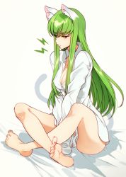 Rule 34 | 1girl, animal ears, annoyed, bare legs, blush, breasts, buttons, c.c., cat ears, cat tail, cleavage, code geass, collared shirt, commentary request, creayus, crossed legs, dress shirt, full body, green hair, long hair, naked shirt, pout, shirt, simple background, sitting, sleeves past wrists, small breasts, solo, tail, white background, white shirt, yellow eyes