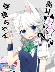 Rule 34 | 2girls, abe suke, animal ears, blue eyes, blush, bow, braid, cat ears, cat tail, grey background, hair bow, hair ornament, hat, hat ribbon, highres, izayoi sakuya, kemonomimi mode, looking at viewer, mob cap, multiple girls, open mouth, paw print, puffy sleeves, red eyes, remilia scarlet, ribbon, shaded face, shirt, short hair, short sleeves, silver hair, simple background, sweat, tail, text focus, touhou, translation request, twin braids, upper body, vest, wrist cuffs
