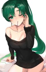 Rule 34 | 1girl, blush, candy, earrings, eating, fire emblem, fire emblem: the blazing blade, food, green eyes, green hair, high ponytail, highres, jewelry, long hair, looking at viewer, lyn (fire emblem), mouth hold, nintendo, ormille, pocky, pocky day, pocky kiss, ponytail, shared food, single bare shoulder, solo, sweater