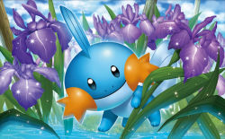 Rule 34 | black eyes, blue sky, closed mouth, cloud, cloudy sky, creature, creatures (company), flower, full body, game freak, gen 3 pokemon, grass, looking at viewer, mudkip, nintendo, no humans, official art, outdoors, pokemon, pokemon (creature), pokemon tcg, sky, smile, solo, standing, third-party source, tsutsui misa, water