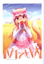 Rule 34 | 1girl, 2017, absurdres, animal ears, apple, blue sky, breasts, bridal veil, brown hair, closed mouth, cloud, collarbone, day, dress, elbow gloves, fang, fang out, flower, food, fruit, gloves, hair flower, hair ornament, highres, holding, holding food, holding fruit, holo, koume keito, layered dress, long hair, official art, outdoors, red apple, red flower, scan, sky, sleeveless, sleeveless dress, small breasts, smile, solo, spice and wolf, standing, straight hair, strapless, strapless dress, tail, veil, very long hair, wedding dress, wheat field, white dress, white gloves, wolf ears, wolf girl, wolf tail