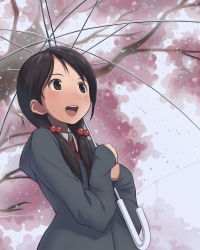 Rule 34 | 1girl, baakurou, black eyes, black hair, cherry blossoms, female focus, from below, hair bobbles, hair ornament, hood, hoodie, looking up, nature, open mouth, original, outdoors, rain, sky, smile, solo, transparent, transparent umbrella, tree, twintails, umbrella, water, water drop