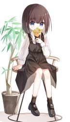 Rule 34 | 1girl, black dress, black footwear, black hair, black socks, blouse, blue eyes, blue necktie, collared shirt, covered mouth, crepe, dress, food, full body, holding, holding food, loafers, long sleeves, looking at viewer, necktie, original, plant, potted plant, puffy long sleeves, puffy sleeves, shirt, shoes, sitting, sleeveless, sleeveless dress, socks, solo, stool, white background, white shirt, yuuhagi (amaretto-no-natsu)