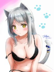 Rule 34 | 1girl, animal ear fluff, animal ears, bell, black bra, black panties, blush, bra, braid, breasts, cat day, cat ears, cat tail, cleavage, closed mouth, collarbone, eyelashes, flower knight girl, french braid, ginryousou (flower knight girl), highres, kemonomimi mode, lace, lace-trimmed bra, lace trim, long hair, looking at viewer, medium breasts, midriff, navel, panties, paw print, ribbon, side-tie panties, signature, silver hair, simple background, solo, strap slip, tail, tail bell, tail ornament, tail ribbon, twitter username, underwear, underwear only, white background, yellow eyes, yukinoshiro