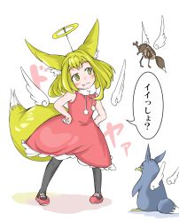 Rule 34 | 1girl, :3, absurdres, animal ears, bird, black pantyhose, blonde hair, blush, commentary request, doitsuken, dress, extra ears, fake halo, fang, fang out, fox ears, fox tail, halo, hands on own hips, head tilt, highres, original, pantyhose, penguin, red dress, rhinoceros beetle, short hair, smile, standing, tail, translation request, wings