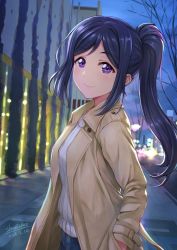 Rule 34 | 1girl, artist name, artist request, bare tree, beige coat, blue hair, blurry, blush, bokeh, building, coat, commentary request, dated, depth of field, female focus, hair between eyes, hand in pocket, long hair, long sleeves, looking at viewer, love live!, love live! school idol festival, love live! sunshine!!, matsuura kanan, night, outdoors, parted lips, ponytail, purple eyes, shamakho, sidelocks, smile, solo, sweater, tree, upper body, white sweater