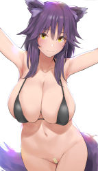 Rule 34 | 1girl, animal ear fluff, animal ears, armpits, bandaid, bandaid on pussy, bare shoulders, bikini, black bikini, blush, bottomless, breasts, cleavage, closed mouth, collarbone, fang, fang out, highres, kurowa, large breasts, looking at viewer, makoto (princess connect!), medium hair, navel, outstretched arms, princess connect!, purple hair, sidelocks, simple background, skin fang, smile, solo, swimsuit, tail, white background, wolf ears, wolf tail, yellow eyes