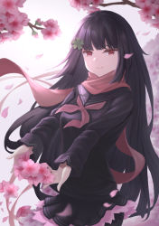 Rule 34 | 1girl, absurdres, black hair, bow, cherry blossoms, clark (159123), closed mouth, floral background, flower, girls&#039; frontline, hair flower, hair ornament, highres, holding, long hair, long sleeves, looking at viewer, petals, red bow, red eyes, red scarf, scarf, school uniform, serafuku, skirt, smile, solo, type 100 (girls&#039; frontline)