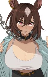 Rule 34 | 1girl, animal ears, belt, belt collar, black pants, blush, breasts, brown belt, brown hair, chain, chain leash, cleavage, closed mouth, collared shirt, commentary request, ear ornament, hair between eyes, highres, horse ears, horse girl, kumabachi315, large breasts, leash, looking at viewer, midriff, multicolored hair, official alternate costume, open clothes, open shirt, pants, red eyes, shirt, simple background, sirius symboli (umamusume), solo, streaked hair, striped clothes, striped shirt, tank top, umamusume, upper body, v-shaped eyebrows, vertical-striped clothes, vertical-striped shirt, white background, white hair, white tank top