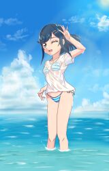 Rule 34 | 1girl, bikini, blue hair, blue sky, bob cut, breasts, cloud, cloudy sky, commentary, day, delicious party precure, front-tie bikini top, front-tie top, fuwa kokone, green eyes, hair ornament, hairclip, highres, horizon, looking at viewer, merit (user cmvj8887), no pants, ocean, one eye closed, open mouth, outdoors, precure, see-through, shirt, short hair, short sleeves, side-tie bikini bottom, sky, small breasts, smile, solo, standing, striped bikini, striped clothes, swimsuit, t-shirt, wading, water, wet, wet clothes, wet shirt, white shirt, wind
