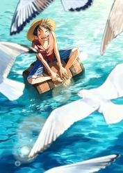 Rule 34 | 1boy, ^ ^, ^o^, bird, closed eyes, floating, hat, highres, male focus, monkey d. luffy, mulso, ocean, one piece, sandals, seagull, shorts, sitting, sleeveless, solo, straw hat, treasure chest, water, white bird