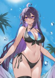 Rule 34 | 1girl, absurdres, ahoge, bare arms, bare shoulders, bikini, black bikini, blue sky, breasts, cleavage, cloud, commentary request, cowboy shot, day, groin, highres, honkai: star rail, honkai (series), large breasts, long hair, navel, outdoors, paradox (parapa), purple eyes, purple hair, seele (honkai: star rail), side-tie bikini bottom, sky, solo, standing, stomach, swimsuit, thighs, very long hair