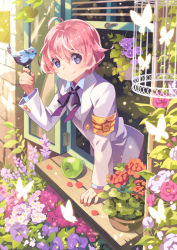 Rule 34 | 1boy, 1girl, ahoge, apple, armband, bf. (sogogiching), bird, bird on hand, birdcage, bug, butterfly, cage, flower, food, fruit, insect, leaning, light particles, looking at viewer, male focus, neck ribbon, official art, original, petals, pink hair, plant, potted plant, purple eyes, ribbon, saibai shounen, school uniform, short hair, smile, solo, wind, window, windowsill