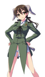 Rule 34 | 1girl, animal ears, brown eyes, brown hair, gertrud barkhorn, hands on own hips, military, military uniform, nekomamire, panties, solo, strike witches, tail, twintails, underwear, uniform, world witches series