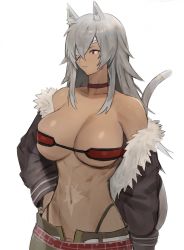Rule 34 | 1girl, abs, absurdres, animal ears, bare shoulders, belt, breasts, choker, cleavage, collarbone, commentary, dark skin, dark-skinned female, english commentary, eyepatch, female focus, fur trim, ghislaine dedoldia, hair between eyes, hair over one eye, hand on own hip, highres, hood (james x), jacket, large breasts, long hair, looking to the side, messy hair, mushoku tensei, navel, open belt, open clothes, open fly, open jacket, red eyes, scar, scar on face, scar on stomach, sidelocks, silver hair, solo, strap, tail, toned, white background
