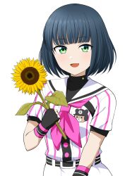 1girl :d barkhorn0331 baseball_uniform belt belt_buckle black_belt black_gloves black_hair black_undershirt blunt_bangs buckle cinderella_series cowboy_shot fingerless_gloves flower gloves green_eyes hachigatsu_no_cinderella_nine highres holding holding_flower looking_at_viewer neckerchief open_mouth pink_neckerchief pleated_skirt print_shirt sailor_collar satogahama_baseball_uniform shirt shirt_under_shirt short_hair short_sleeves simple_background skirt smile solo sportswear standing striped_belt striped_clothes striped_shirt sunflower suzuki_waka vertical-striped_clothes vertical-striped_shirt white_background white_sailor_collar wristband