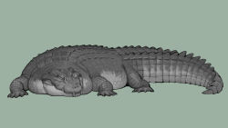 Rule 34 | animal focus, crocodile, crocodilian, full body, green background, highres, looking at viewer, nishimawari kouro, no humans, original, simple background