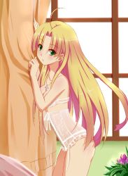 Rule 34 | 1girl, ahoge, asia argento, blonde hair, bra, collarbone, cross, cross necklace, curtains, floating hair, green eyes, high school dxd, jewelry, leaning forward, long hair, necklace, parted lips, see-through, shiny skin, solo, standing, strapless, strapless bra, underwear, underwear only, very long hair, white bra, yuj (moemarket)